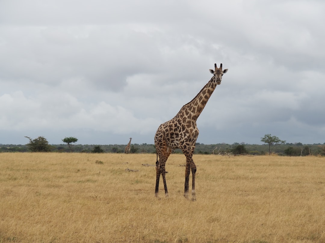 Tourism